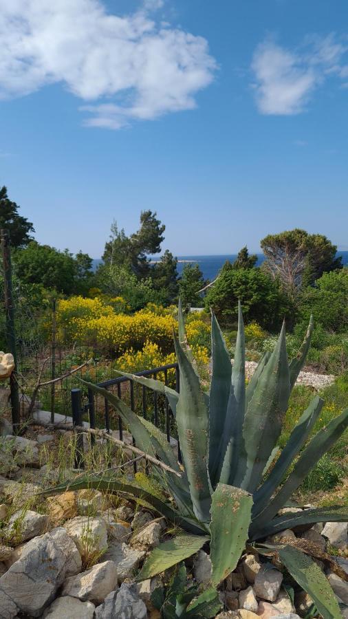 Studio Apartman Stara Baška Buitenkant foto