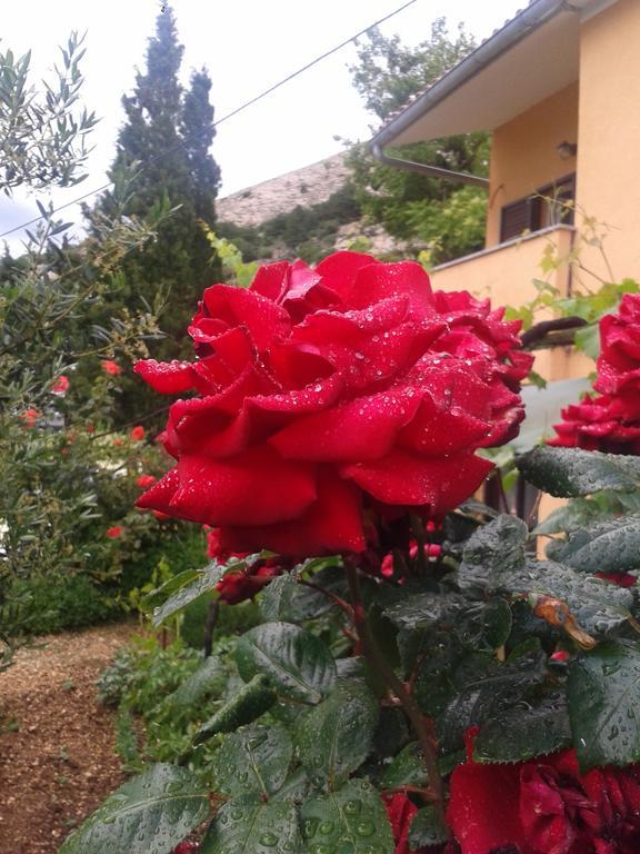 Studio Apartman Stara Baška Buitenkant foto